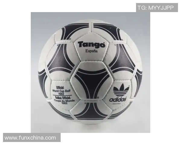 世界杯足球巨星头像集合 揭开球场传奇背后的精彩瞬间